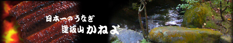 日本一のうなぎ・鯉「かねよ」