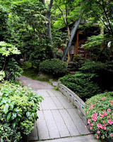 �뉀���C���[�W�ʐ^